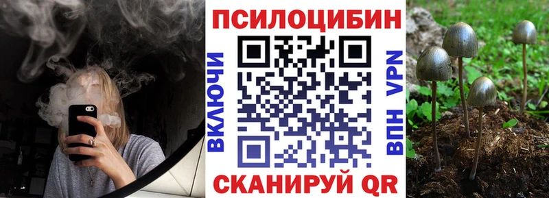 Галлюциногенные грибы прущие грибы Чита