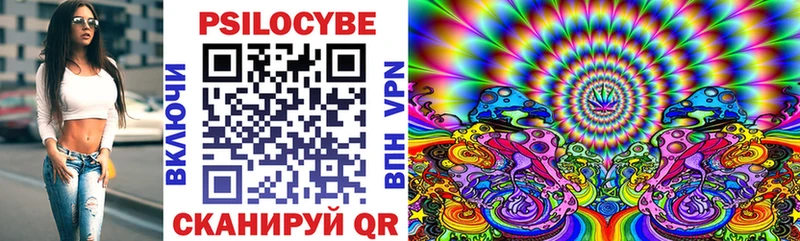 Псилоцибиновые грибы GOLDEN TEACHER  купить наркотик  Чита 