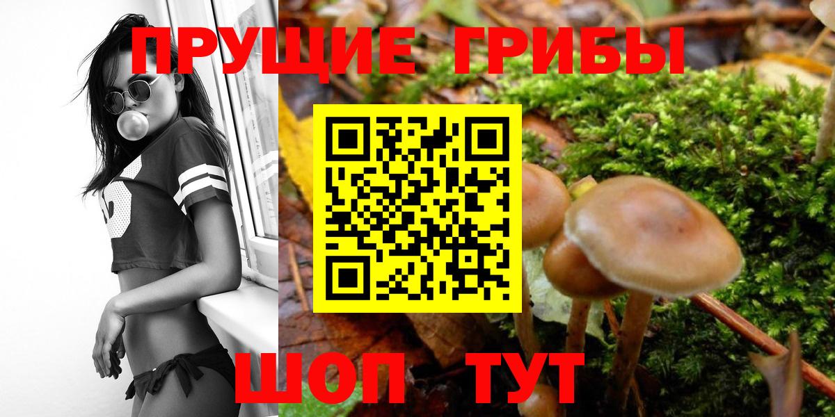 Галлюциногенные грибы мухоморы  Вход с VPN  Чита 