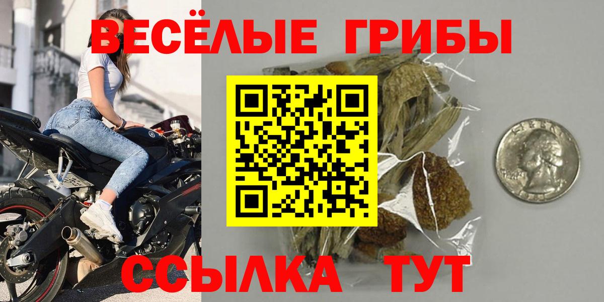 Галлюциногенные грибы Cubensis Чита
