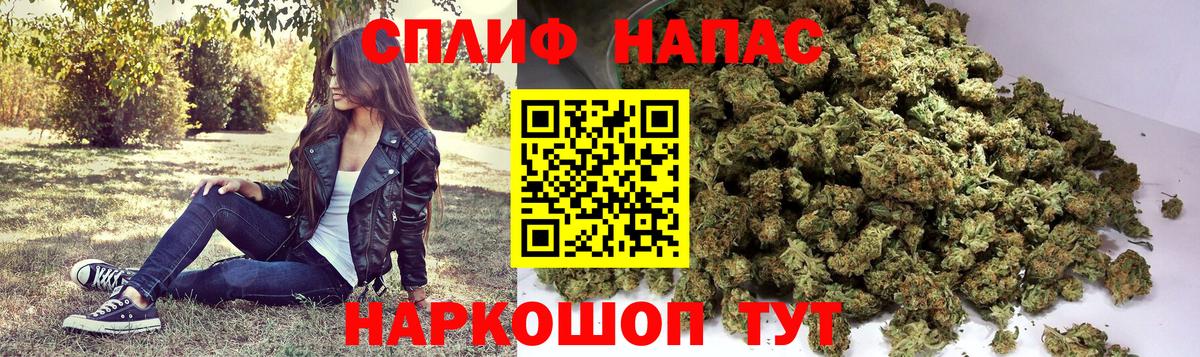 Бошки Шишки тримм  Вход с VPN  Чита  Конопля план  Каннабис Ganja 